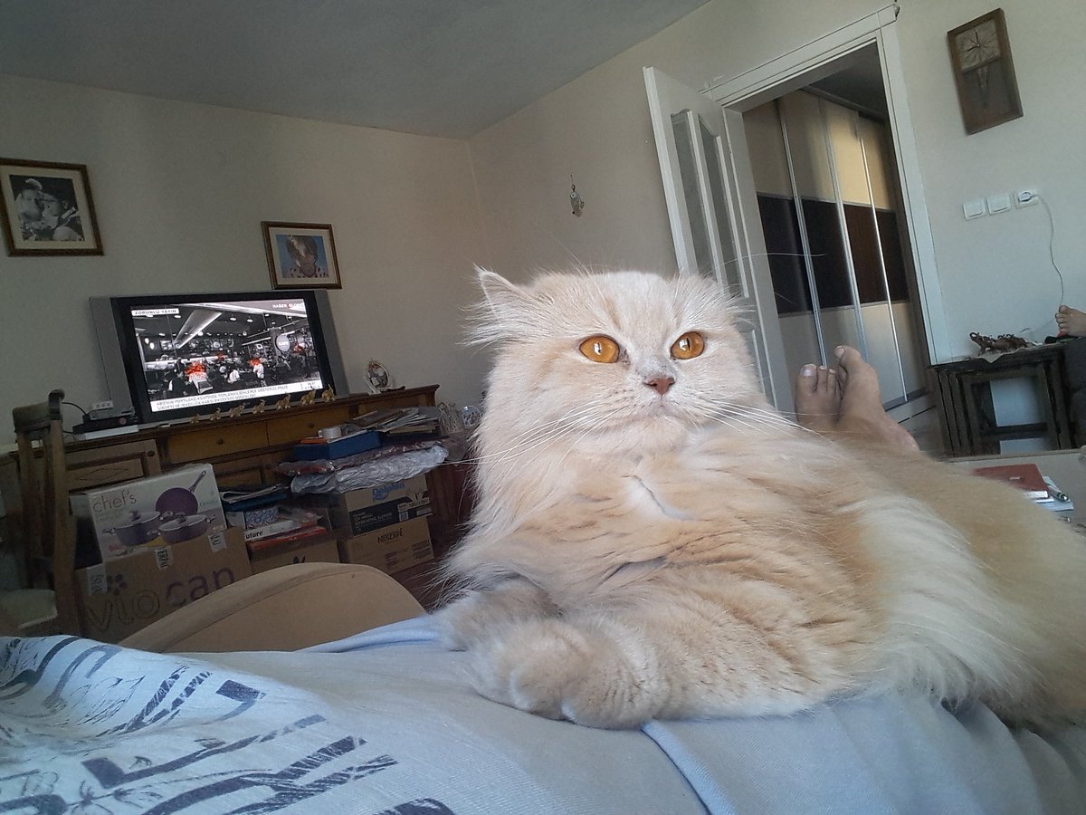 Sabahleyin böyleyiz...Günaydın