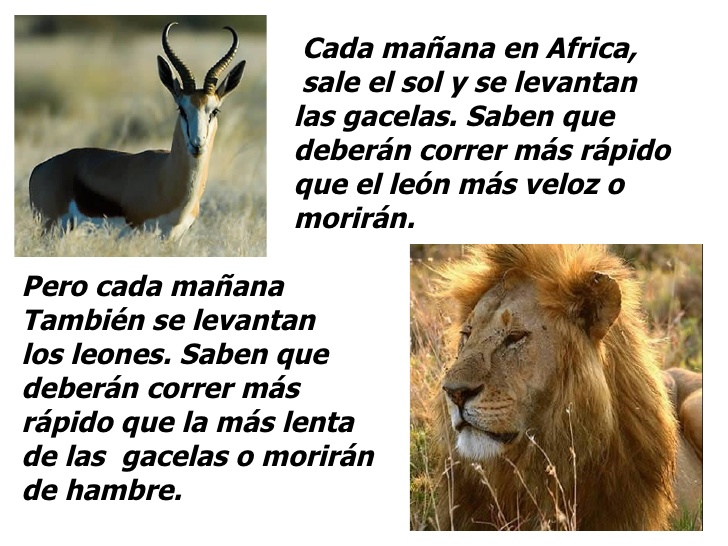 ormesina's tweet photo. ¡Animo! ¡No te rindas! ¡Corre con ilusión y cambia el pesimismo por una actitud mental y emocional positiva. ¡Recuerda que estar vivo es un milagro! https://t.co/55PZqvycBk