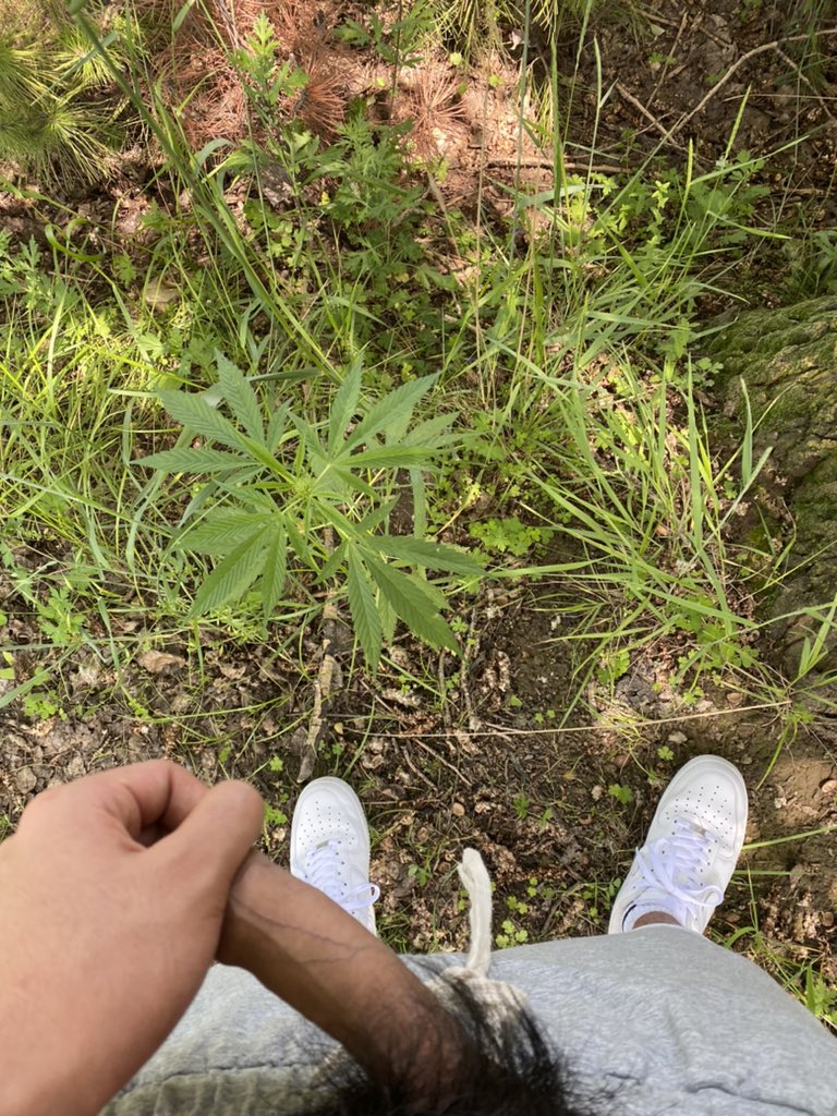 bendanbb's tweet photo. 绿绿的草地 还有像牛奶一样的树脂😉 https://t.co/dU9YQrIfa5