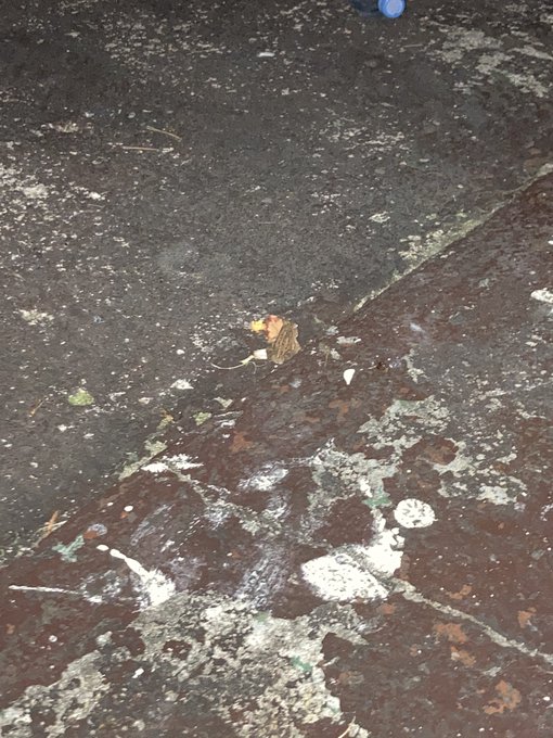 Watch Bilad Al Sudan's leaked NSFW photo on TwXstars