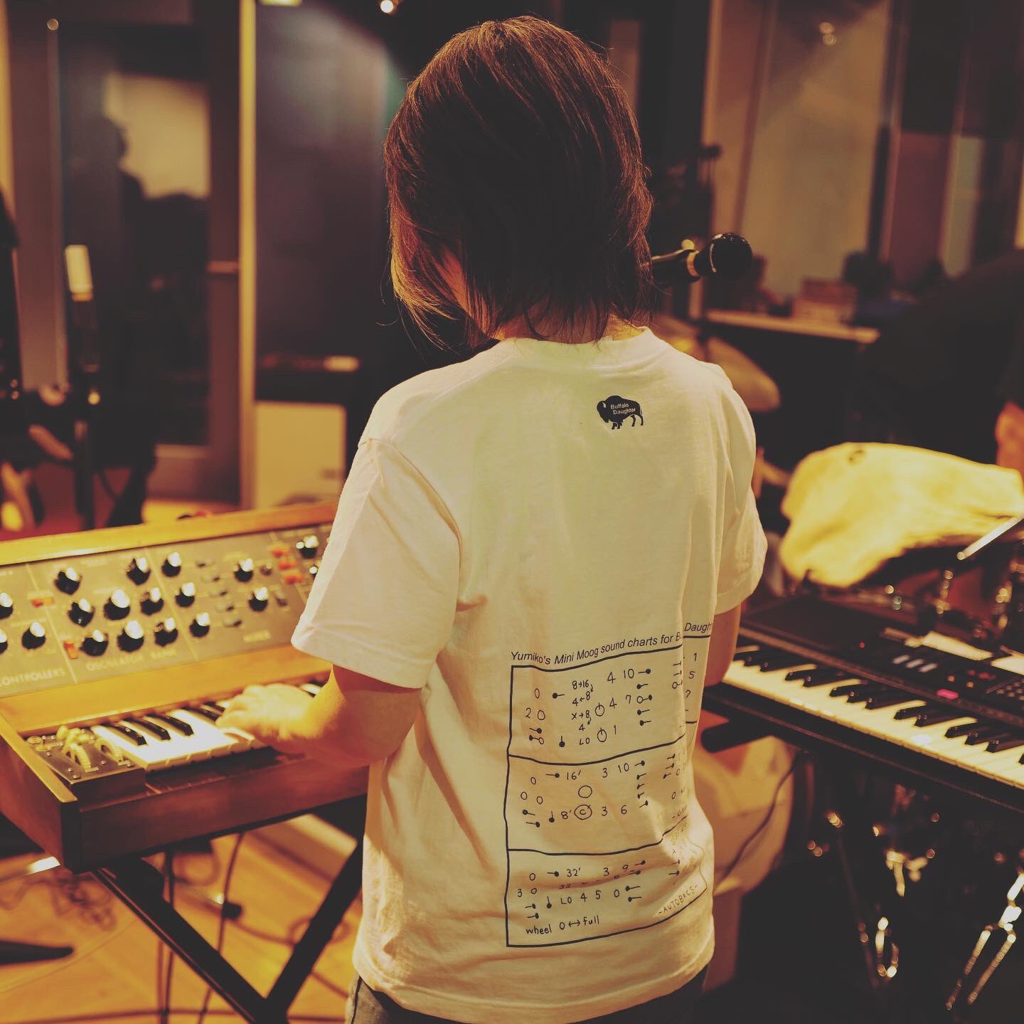 Buffalo Daughter on X: 