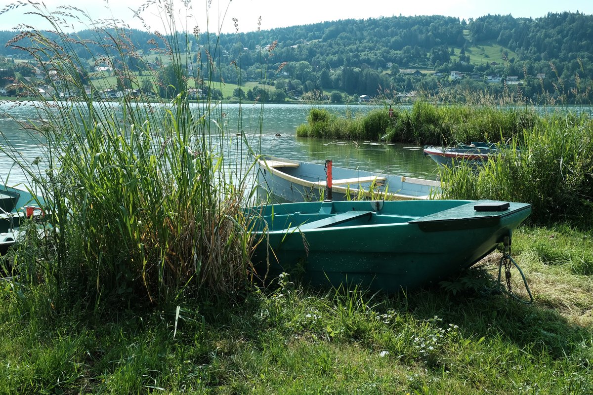 lestrepublicain's tweet image. Connu essentiellement pour ses montagnes, le Haut-Doubs recèle pourtant de nombreux autres joyaux. En tête, le lac de Saint-Point : à découvrir dans notre long-format ⛰
➡ estrepublicain.fr/magazine-touri… #tourisme #longform #longformat #HautDoubs #beautiful #lake