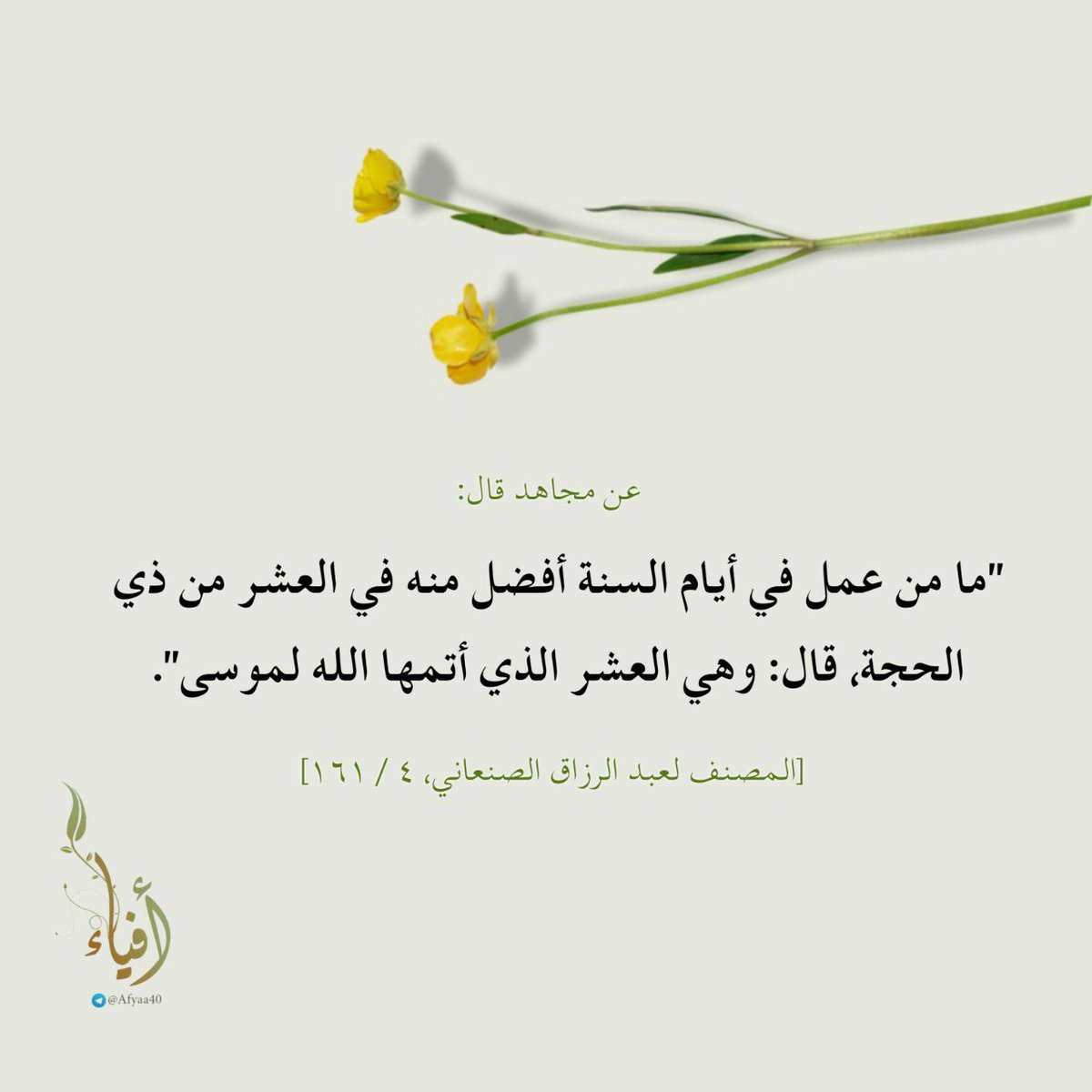 alburgani's tweet photo. https://t.co/dc9kidOdMW