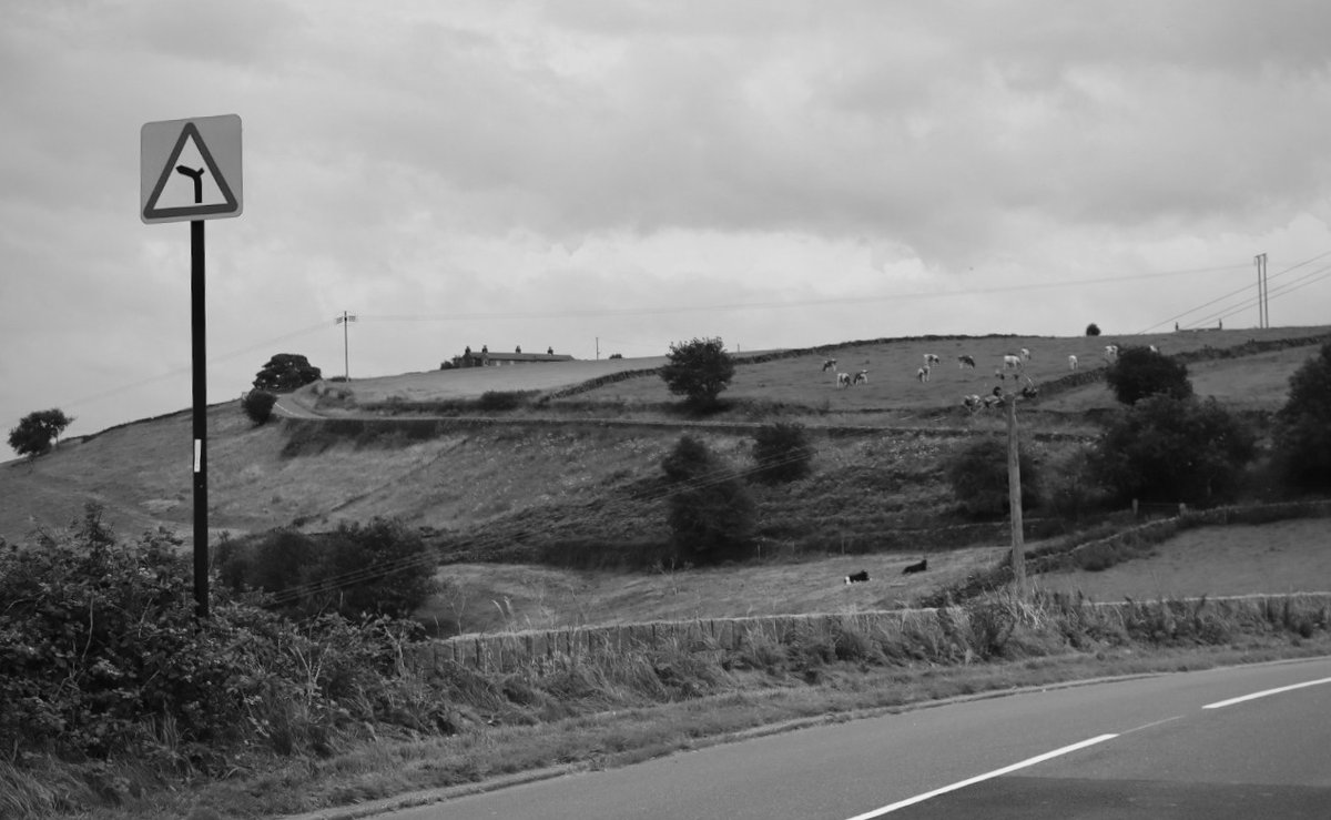 RealMrsHoney1's tweet image. Round the bend..
#roundthebend #photography #monochrome #blackandwhitephotography