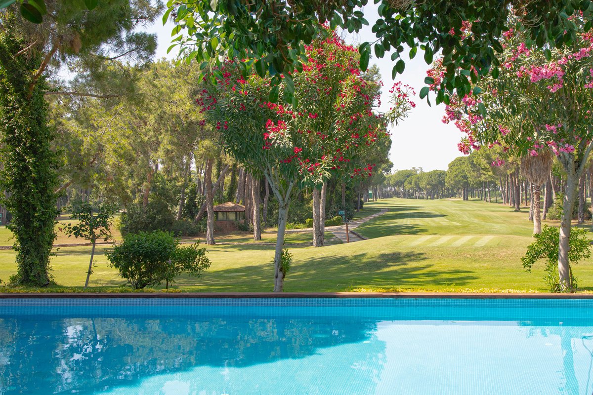 GloriaHotels's tweet photo. The door opening to the nature.
#GloriaHotels #BecauseHereisGloria #GloriaSerenity #VIPVilla #Nature https://t.co/JvkK4gmePT