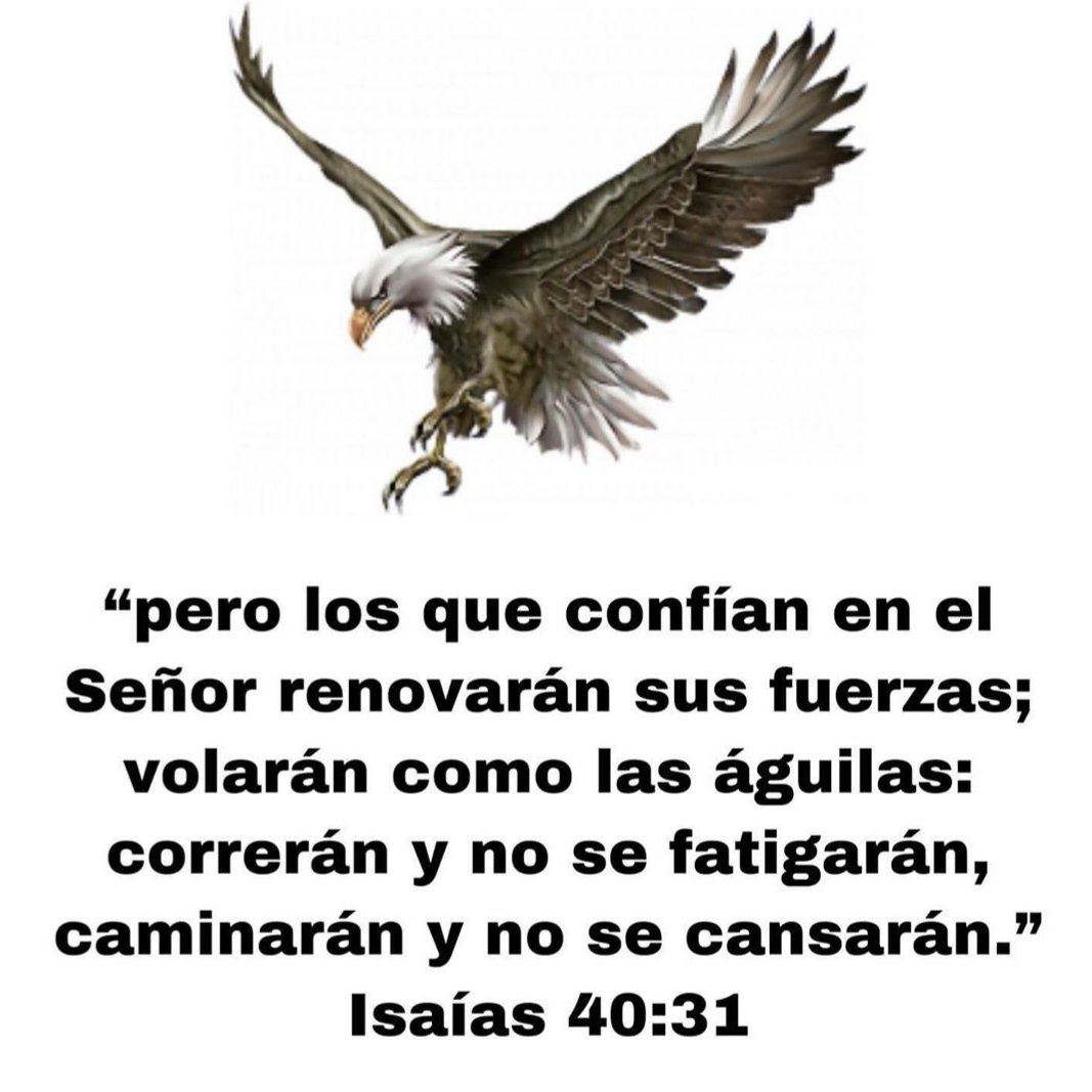 Muy cierto