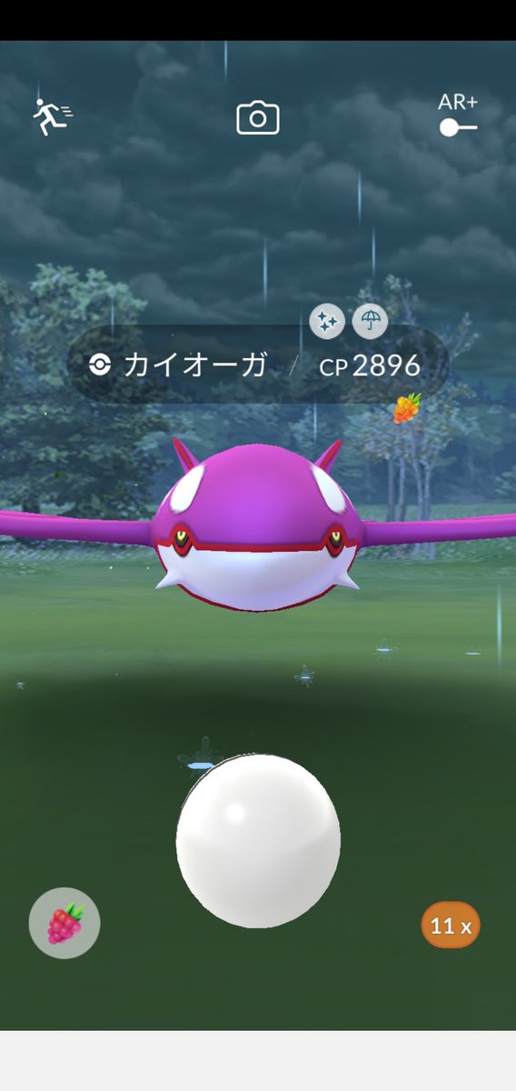 須田ニャン No Twitter 昨日 近所のイオンモールにカイオーガのレイドバトルに挑み 勝利してゲットチャンスに移ったら なんと 色違いのだったニャン しかもボール1発目でゲットできるなんてビックリしたニャンよー 他にも グラードン に3戦勝利し 須田ニャン No Twitter 昨日 近所のイオンモールにカイオーガのレイドバトルに挑み 勝利してゲットチャンスに移ったら なんと 色違いのだったニャン しかもボール1発目でゲットできるなんてビックリしたニャンよー 他にも グラードン に3戦勝利し
