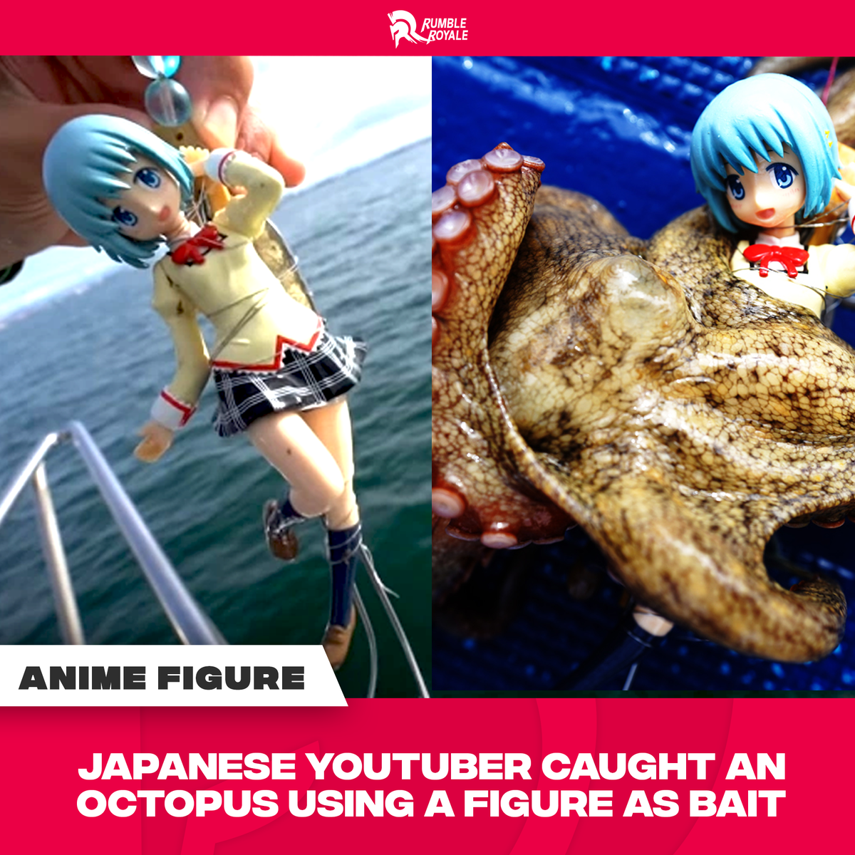 Rumble Royale We Ve Seen Enough Anime Spice Up Your Fishing Experience By Using Your Waifu To Catch Fish And Creatures With Tentacles Such As Octopus The