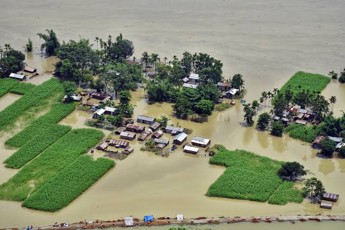 BiharLegacy's tweet photo. आखिर बिहार को बाढ़ से कब मिलेगी मुक्ति??#FloodFreeBihar @NitishKumar 
@officecmbihar https://t.co/u45ukTPhMK