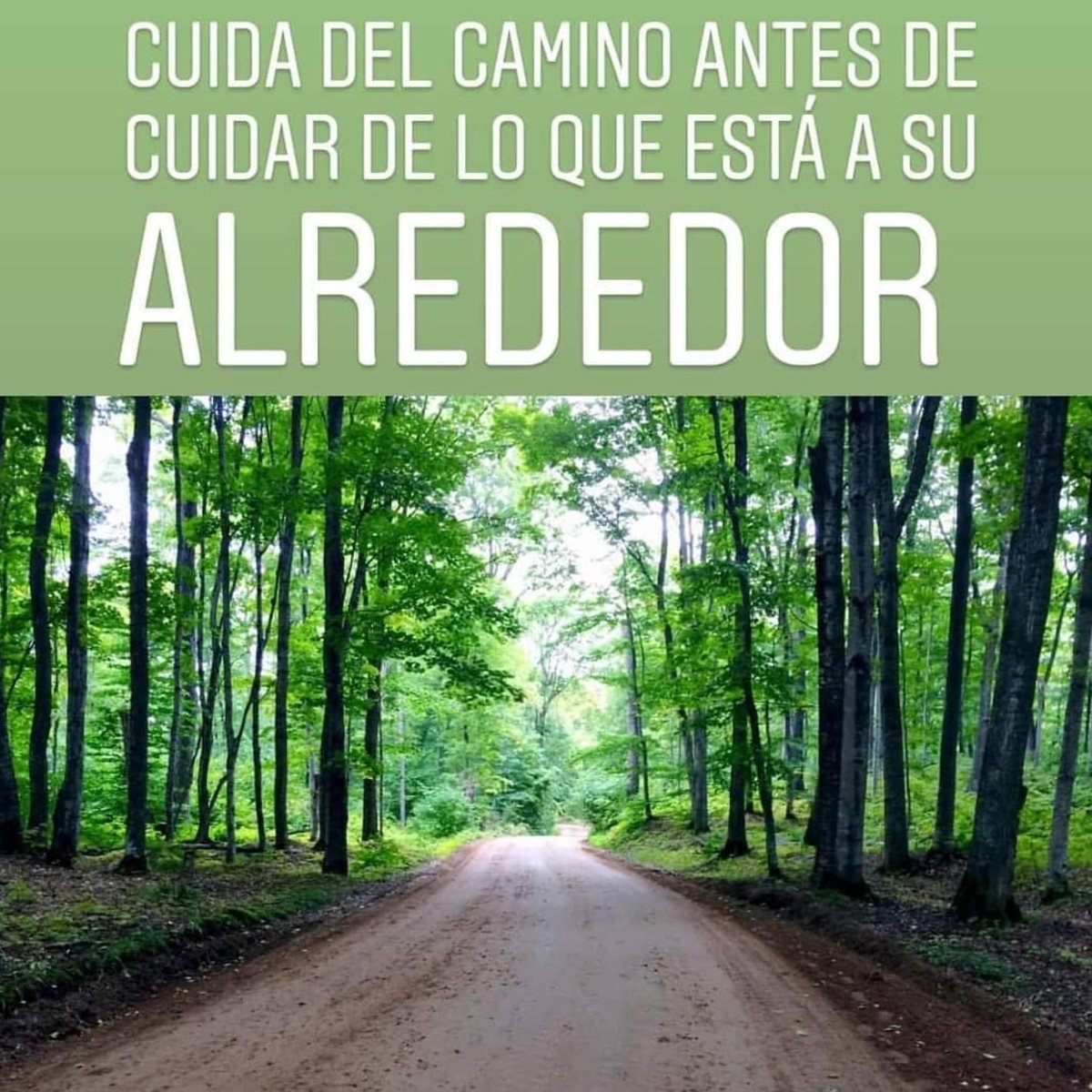 humicorp's tweet photo. Con nuestros aditivos estabilizadores de suelos, conseguimos obtener mayor durabilidad respetando el medioambiente. Cuidemos los caminos.Nuevos caminos nuevos horizontes.
#road #controldepolvo #dustcontrol #ingenieria #polymer #polimero #explanadas #caminos #bases #PG3 #caminos https://t.co/TDnzWEegF2