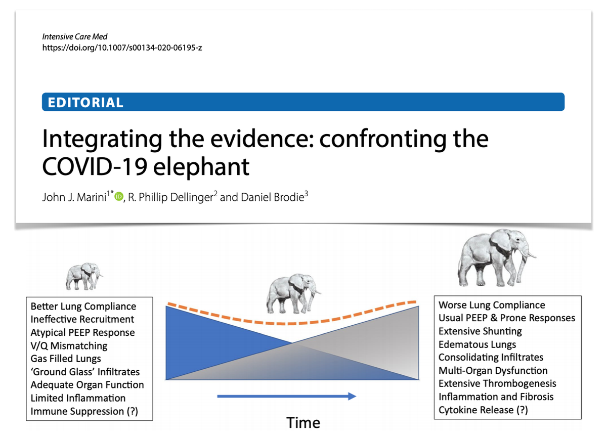 yourICM's tweet photo. #COVID19 putting parts together, trying to see truth:
#SARSCoV2 shared observations &amp; uncontested vs
puzzling/contested features.
We are still gathering main data to build unified pathogenesis theory around which logical/effective approaches might coalesce https://t.co/QxPqN5tXiQ https://t.co/liwKnUcTv8