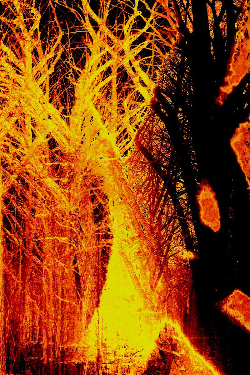 nxthvn's tweet photo. Free.99 to RT an Artist (photography) https://t.co/SAIXmAYWeq