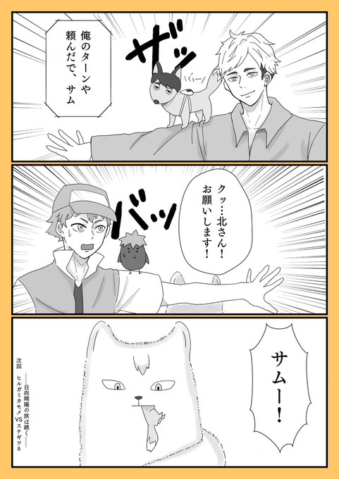 ◯ケモン??
侑日ではない、これは侑vs日向
何億番煎じだけど、描きたかったんだ 