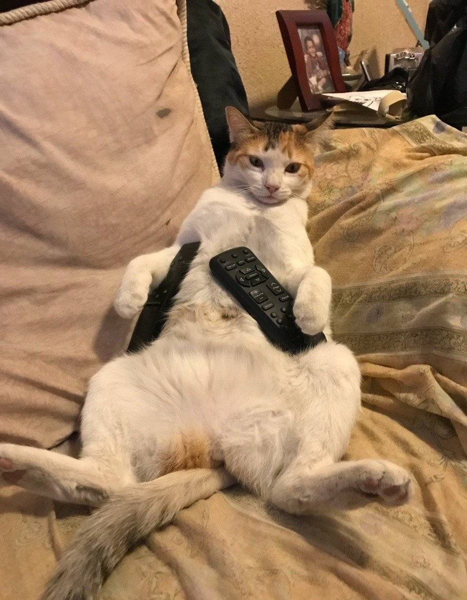 AveragePedo's tweet photo. Quarantine Mood https://t.co/5DzWzKfDad