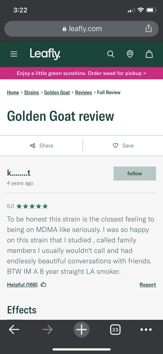 WHAT THE FUCK AM I SMOKINGGGGG Golden Goat review