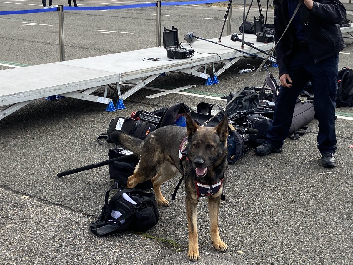 De nombreux médias nationaux sont présents, pour cet hommage quatre ans après l’assassinat du  #PèreHamel à  #SaintEtienneduRouvray. Le chien de la douane inspecte toutes les sacoches et tout le matériel, vérifie qu’il n’y a pas d’explosifs.