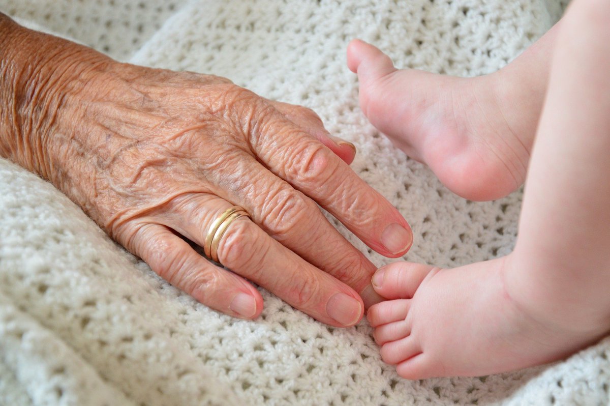 VisitadePerez's tweet photo. ¡Feliz día de los abuelos!
Y es que, qué haríamos sin ellos, ¿verdad? Lo dan todo por nosotros y nos faltaría la vida para agradecérselo. El vínculo entre los abuelos y sus nietos es muy especial. https://t.co/1u8SBymb5i