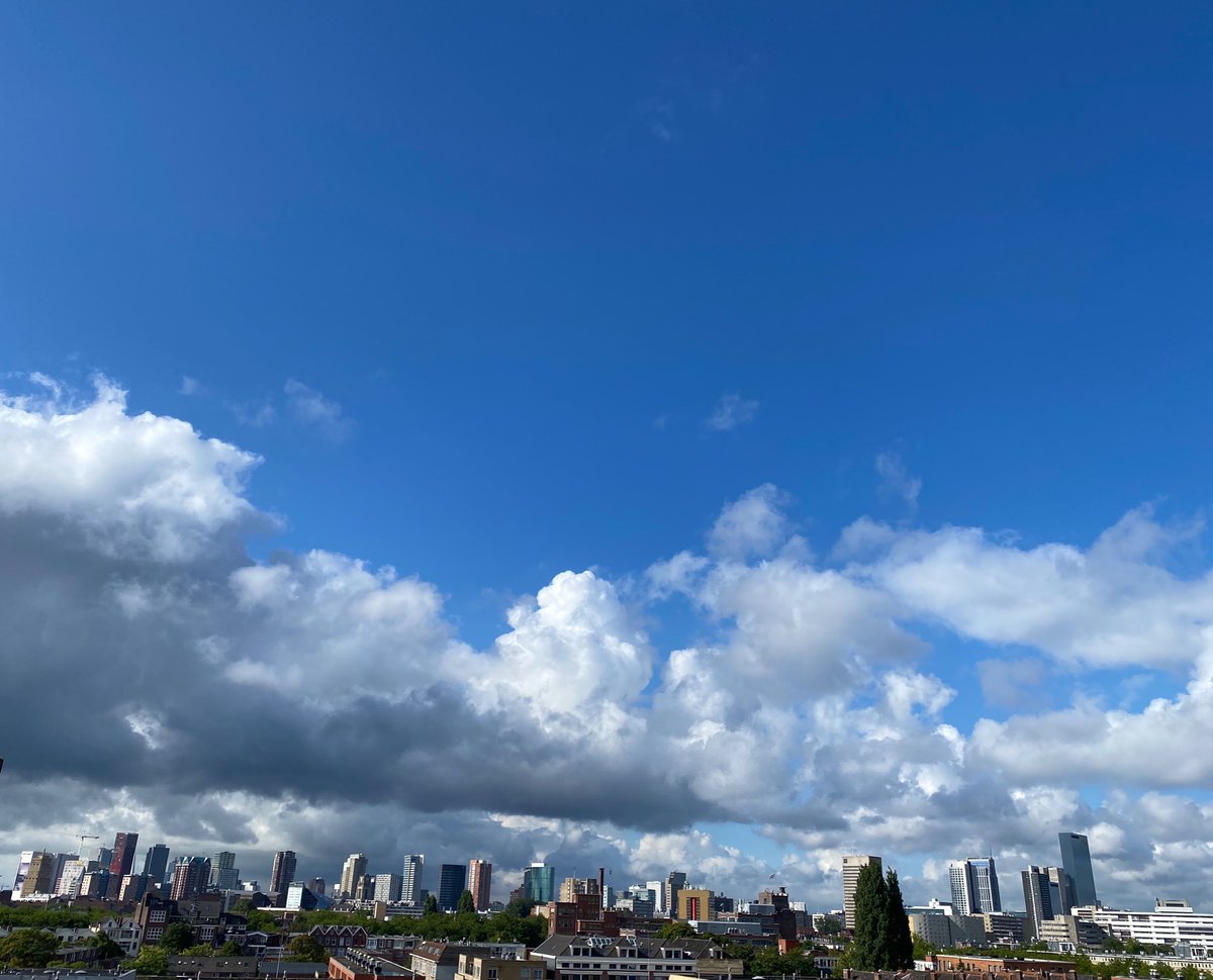 baara_a's tweet photo. Wat een mooie verrassing bij het wakker worden! 😉
Het blijft droog vandaag 😃
#uitzicht #Rotterdam #goedemorgen #zondag #landscapearchitecture https://t.co/Pu8ypZSryZ