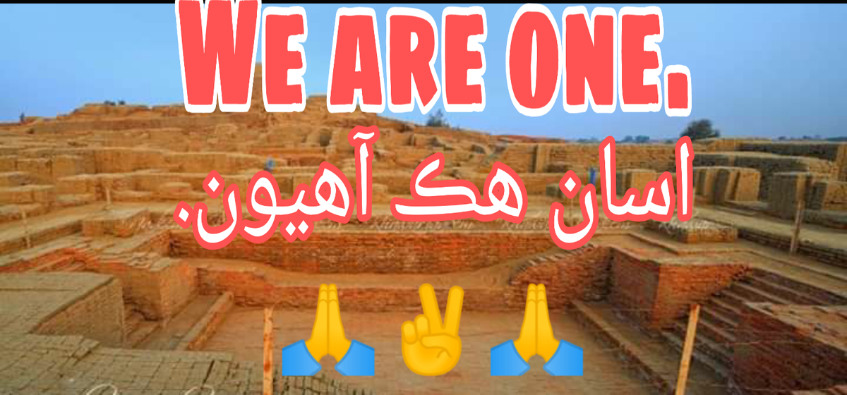 goviiikhokhar's tweet photo. #BoycottFessSAU لاڪ ڊائون فيس نامنظور #SobhoderoNeedsPlayGround نوجوانن جي مستقبل تي وار #AnnounceSindhJobs روزگار جو قتل عام #RegularizePPHIStaffSindh جائز حقن جي گهر https://t.co/7b4T2Rd2ZI