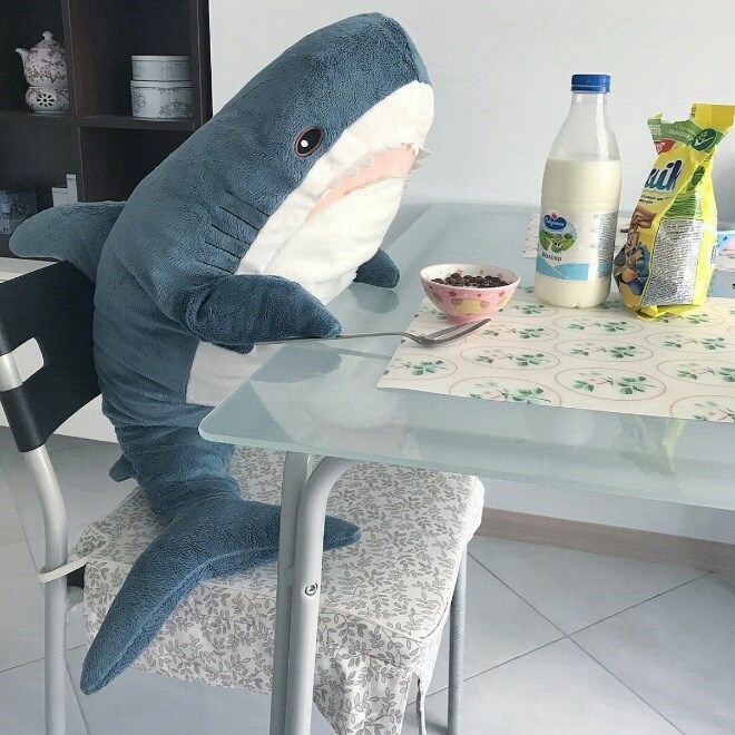  @mo_onstarry unnie this plush shark ready to accompany you to eat, waaaaa. 