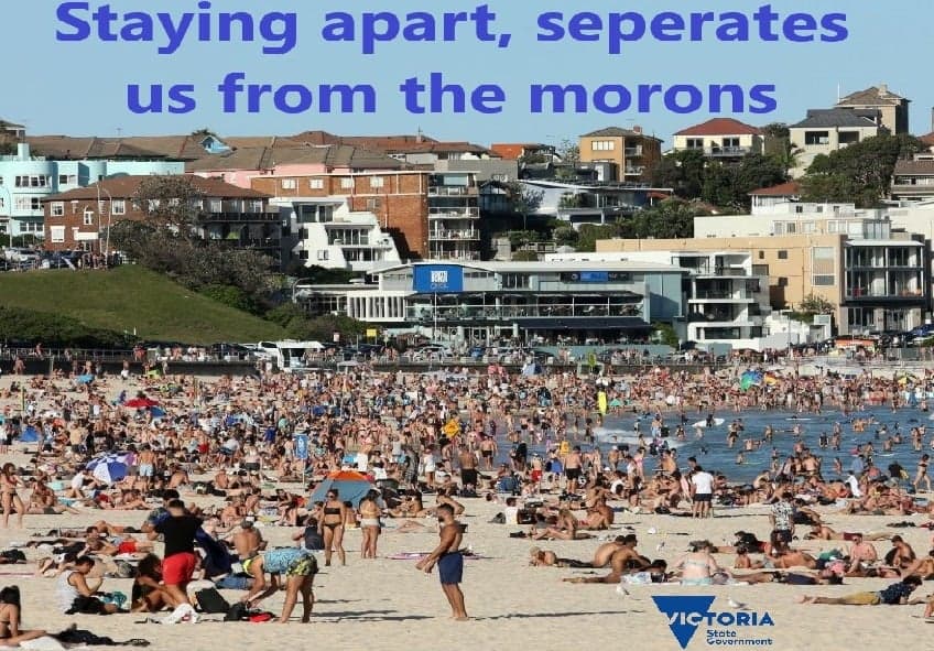 Luke Adams tweet media