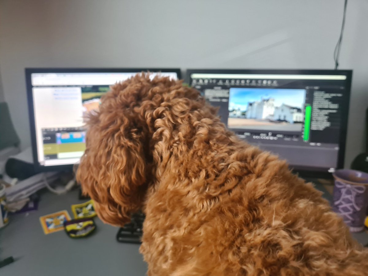 morefreckles's tweet photo. I've got a helper who's reviewing this morning's work and checking out the activities. I think she wants to do half day hike and ice cream. #blaireverwhere https://t.co/bmiu02PfY3