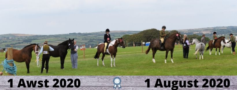 SAberteifi's tweet photo. Entries are now processed and we are overwhelmed by the number received - many thanks to you all for supporting the "Online Show". 
The results will be announced on our website/Facebook page on Saturday, 1 August 2020, which would have been our Show Day.
https://t.co/KHuFIWK5J6 https://t.co/qKBC4BiENe