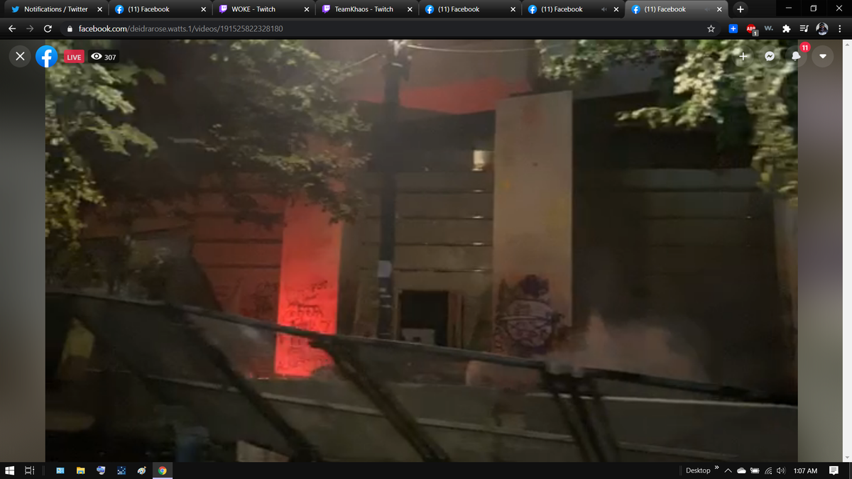 OWS_ellie's tweet photo. Fence down! Teargas, leaf blowers out!
#BlackLivesMatter #FedsGetOut #FedsGoHome #PortlandStrong https://t.co/myEaI0fq76