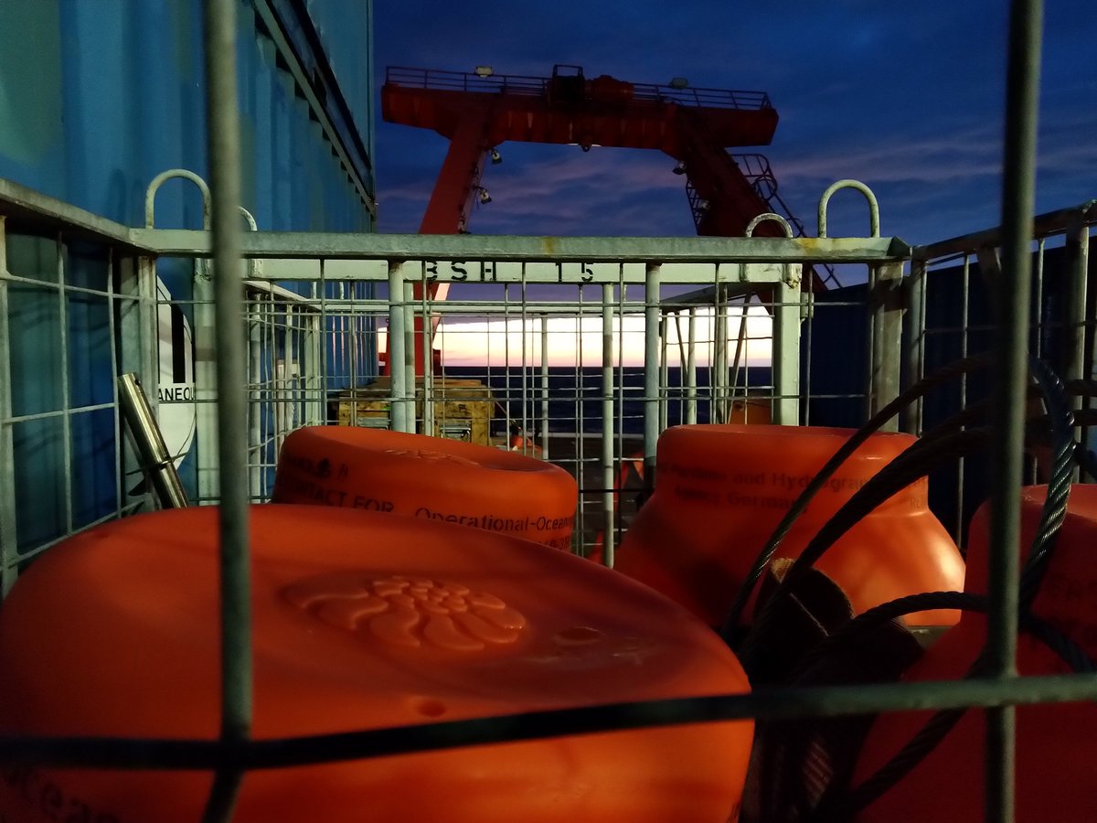 Meteor_M164's tweet photo. After a long working day we enjoy the view on a colorful sunset and a group of pilot whales next to the ship.

📷️S. Wett, K. Wiegand, M. Köllner, 

#RVMeteor #M164 #atsea #oceanresearch #researchcruise #oceanography https://t.co/FOWblQCLA8