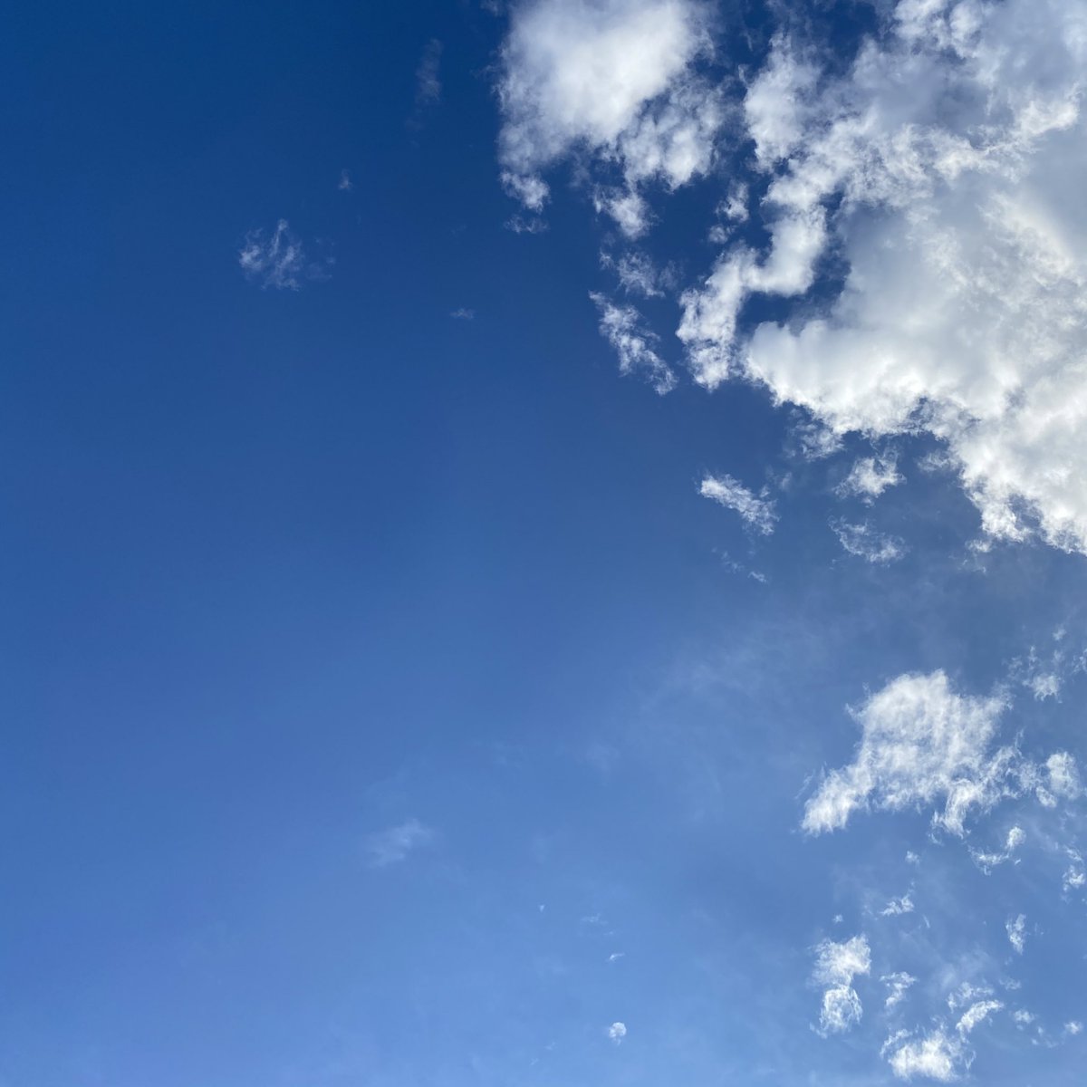 もうすぐ晴れるよ