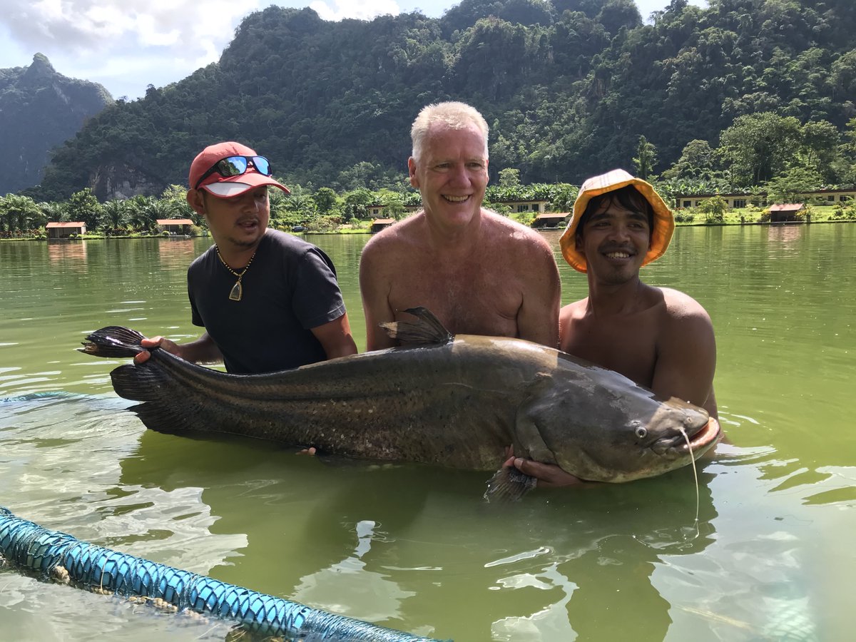 EXOTIC FISHING THAI (@exoticfishthai) | Twitter