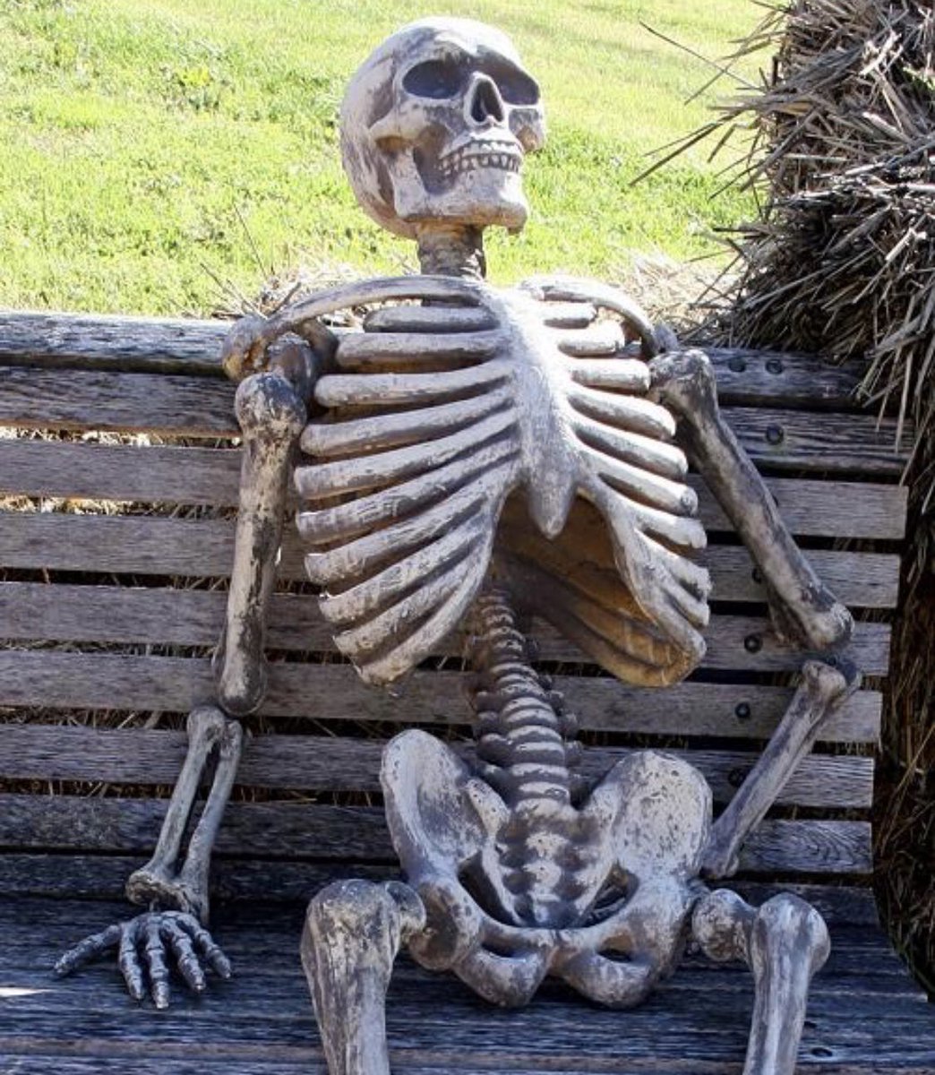 _DGHTN's tweet photo. me sitting down at work tomorrow after 2 days at the gym https://t.co/AVtRyGwtt9