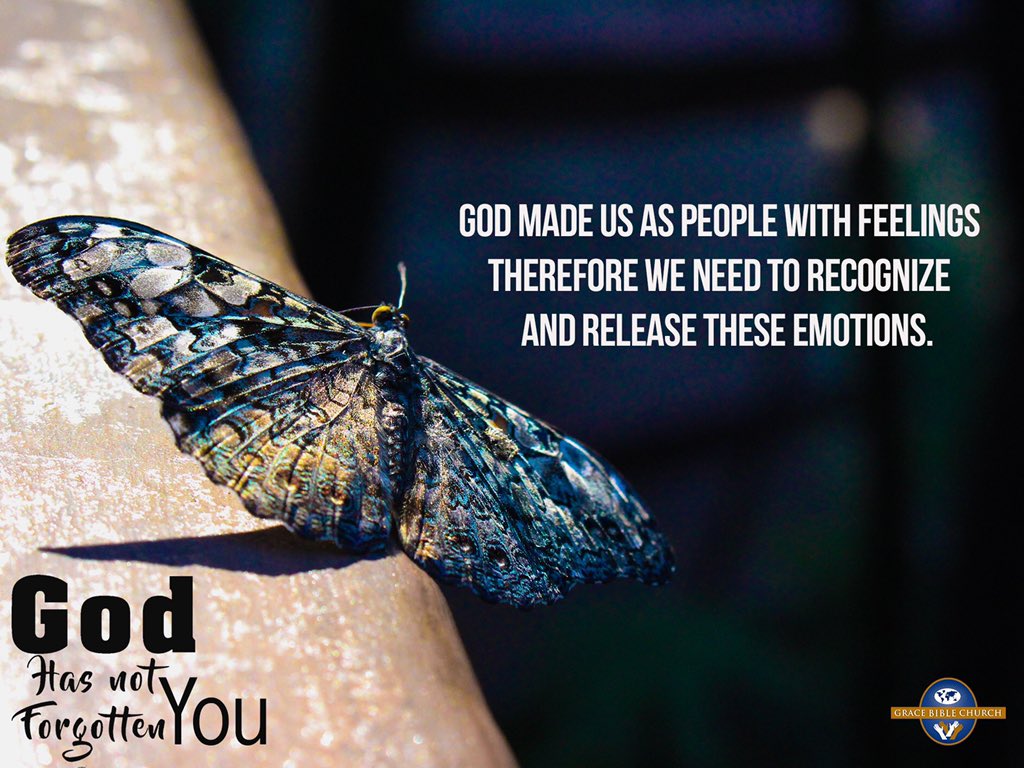 GBC_intl's tweet photo. How can your heart truly heal if you do not acknowledge when you are hurt?
Find comfort in God and tell him how you honestly feel about whatever it is that you are going through, do not bottle your emotions or dismiss them.
#GBCOnline
#GodHasNotForgottenYou
#Day122 https://t.co/bSfI2YW5zS