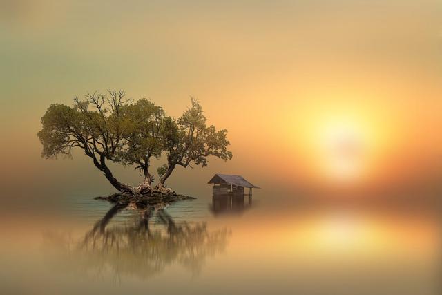 Alex00762690's tweet photo. "Man is a sun and his senses are the planets."

__ Novalis

© ID's Artwork https://t.co/ELsuzxdocK