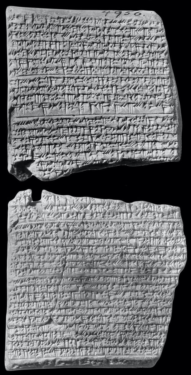 The Akkadian word for comet is ṣallammû, or ṣallummû. It appears in cuneiform texts from ancient Babylonia that record centuries of observed astronomical phenomena. AFAIK, these "Astronomical Diaries" are the longest-running dataset for such phenomena from the ancient world