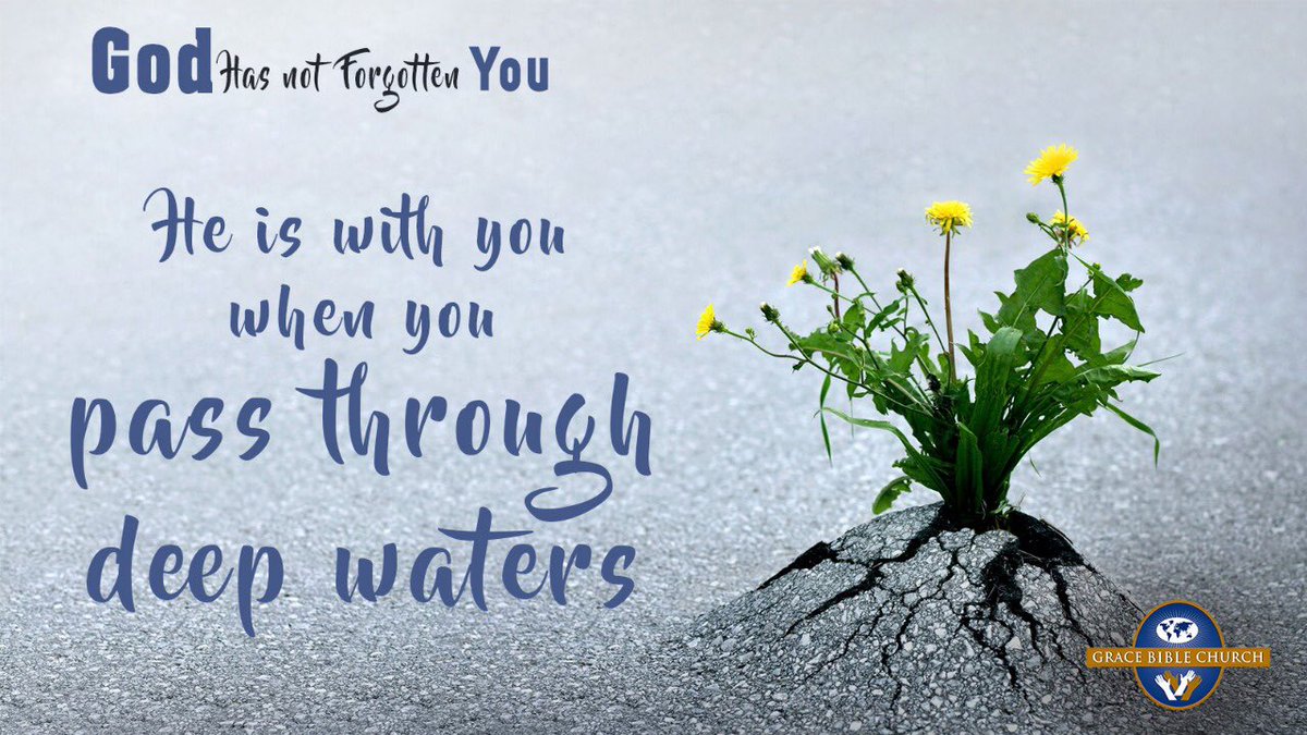 GBC_intl's tweet photo. 4. As you go through difficult times, God is with you. Isaiah 43:2
As you pass through the water of your circumstances you may be wondering who is there with you? Take courage in knowing that God is there with you, He alone can rescue you.
#GBCOnline
#GodHasNotForgottenYou https://t.co/NPN40zd5wM