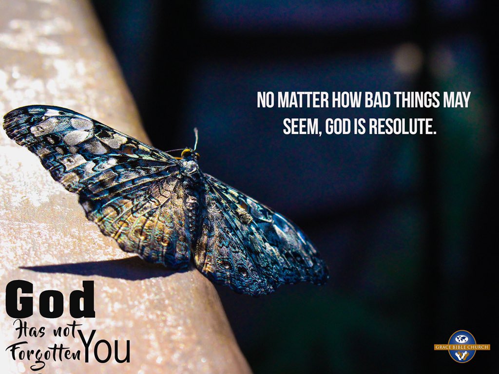 GBC_intl's tweet photo. Luke 1:37
God will pull you through, He will guide you, He will see you through for nothing is too difficult for Him.
#GBCOnline
#GodHasNotForgottenYou
#Day122 https://t.co/6Eqn1DyEpw