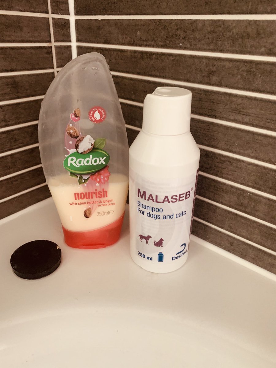 gem_goodyear's tweet photo. Narrowly avoided an extra glossy coat at my sister-in-law’s this morning #systemerrors #humanfactors https://t.co/fes4BCuNr6
