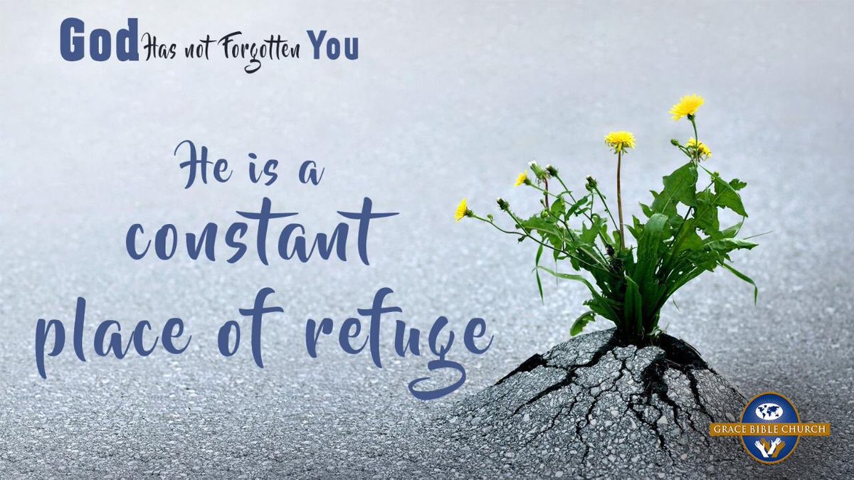 GBC_intl's tweet photo. 6. God is a constant place of refuge. Psalms 46:1
There’s a place that offers us shelter in trouble and that place is in God. He is our Shelter and Protection, there will never be any trouble that He is not able to take you out of.
#GBCOnline
#GodHasNotForgottenYou
#Day122 https://t.co/bU0rHCL2Eh