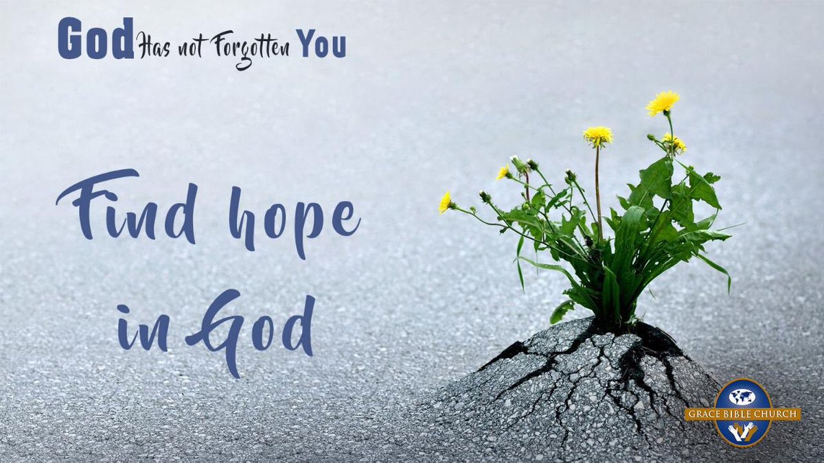 GBC_intl's tweet photo. God's thoughts about you:
5. Find your hope in God. Psalms 73:26
Without hope you can’t go far in life, so find your hope in God who is able to do exceedingly, abundantly above all that you may ask, think or imagine (Ephesians 3:20)
#GBCOnline
#GodHasNotForgottenYou
#Day122 https://t.co/WEDh1yVPLv