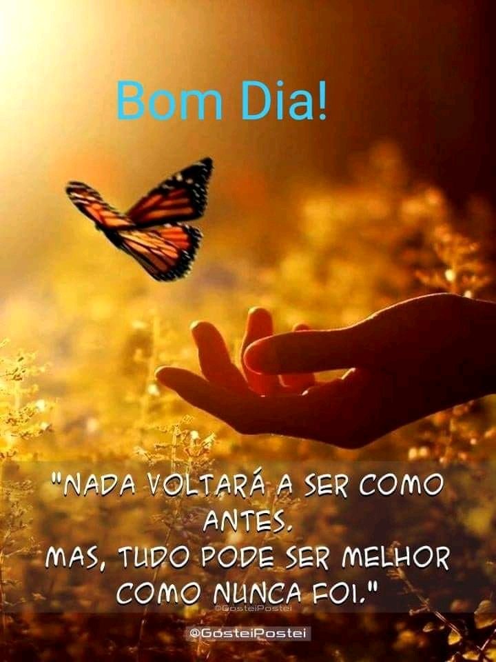 Zé Américo AZUL on Twitter: Zé Américo AZUL on Twitter: