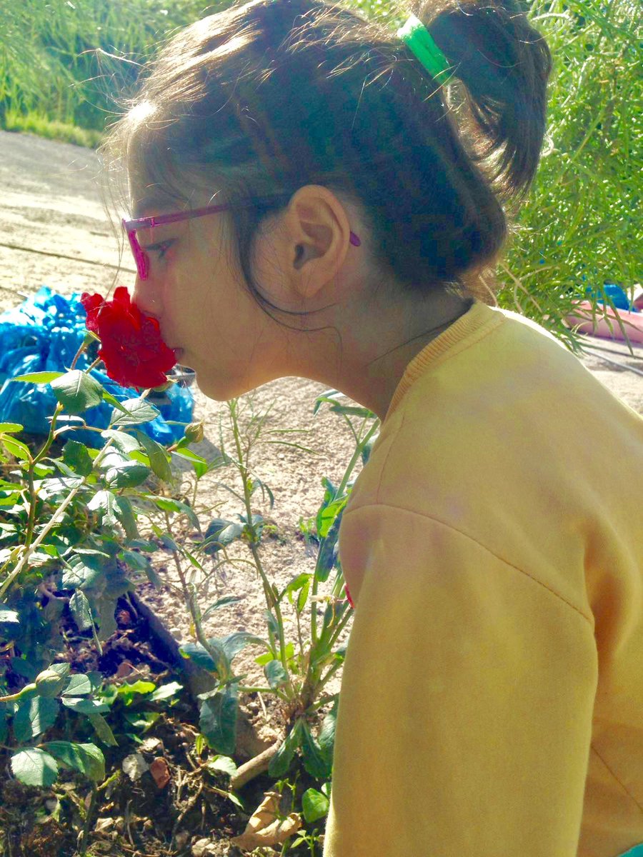 anchormanmurat's tweet photo. Sizin Hayır bildiklerinizde şer, 
Şer bildiklerinizde ­ hayır vardır.. 
ALLAH bilir, siz bilemezsiniz..
        [Bakara Suresi 216] https://t.co/WvBP29pnmS