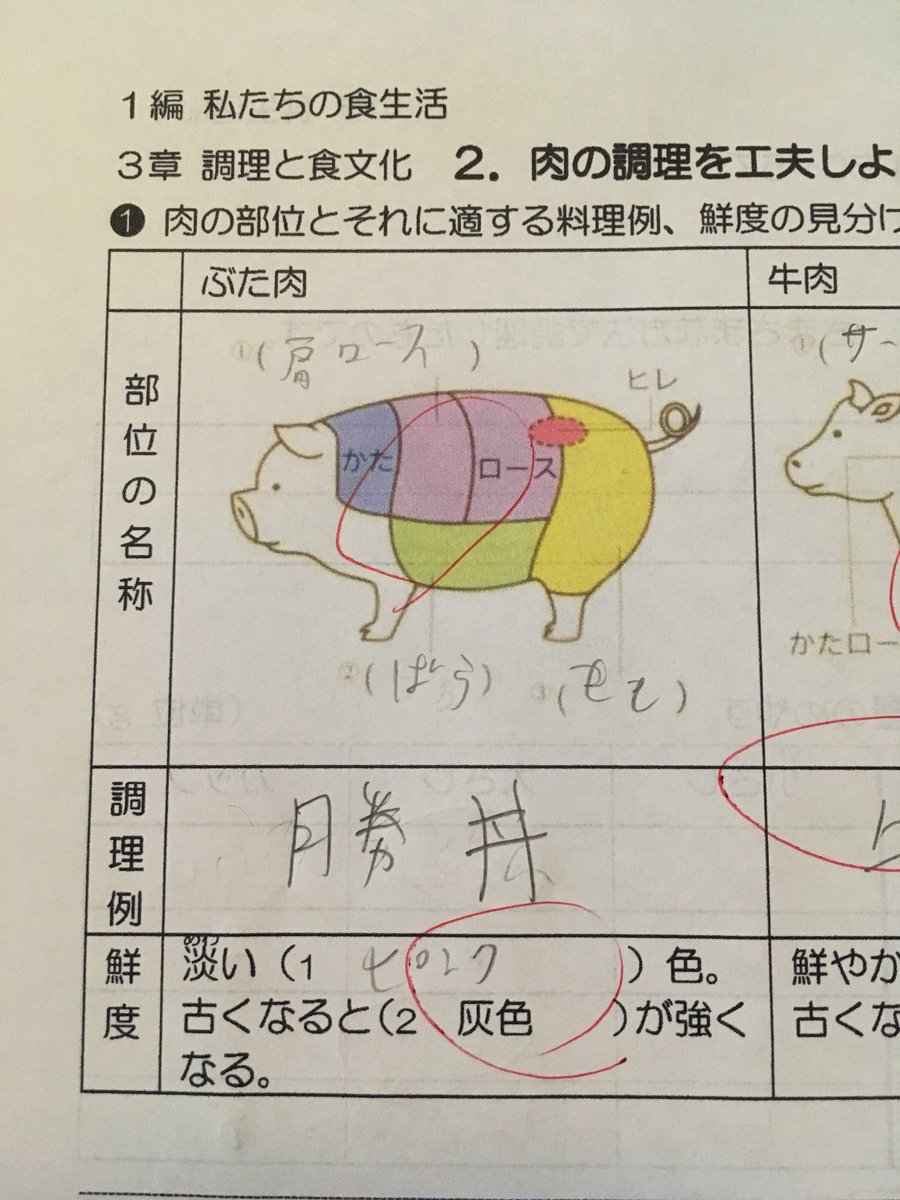 Sakura O 長男の期末考査 家庭科 にむけての プリント復習をみせてもらった 間違いともいいがたいが カツ が正解じゃないか