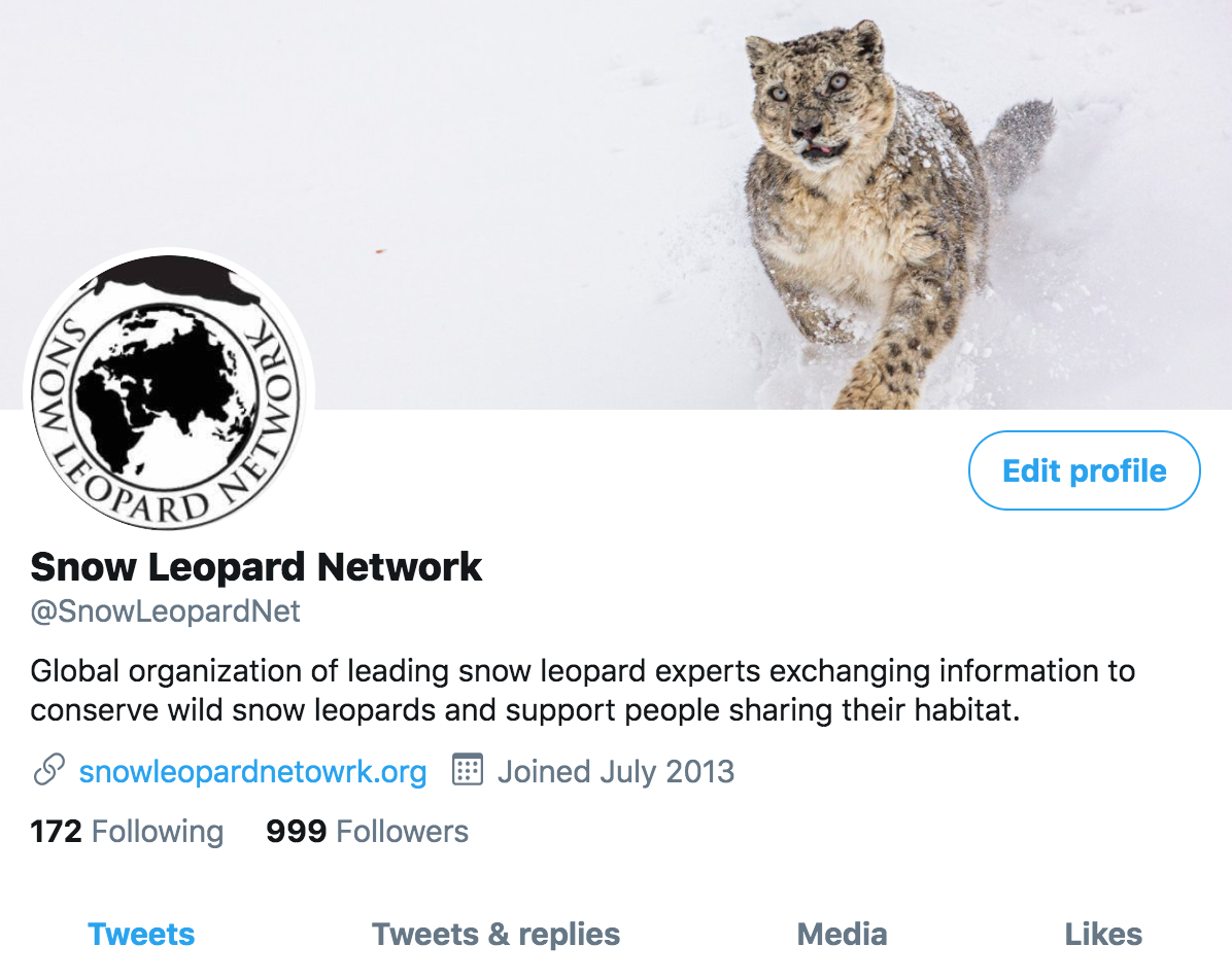 SnowLeopardNet's tweet photo. As we almost reach 1000 followers on twitter; we would like to thank all our members and supporters for continuing to believe in the #SnowLeopardNetwork and building partnerships for the conservation of this threatened species #linkuptoscaleup #thankyou https://t.co/OSfR4ZlwW6