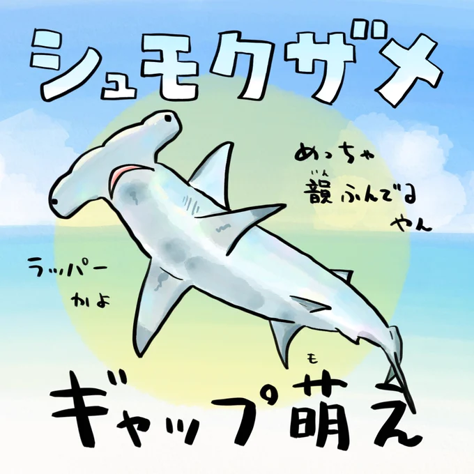 人喰いザメはいないよー! 