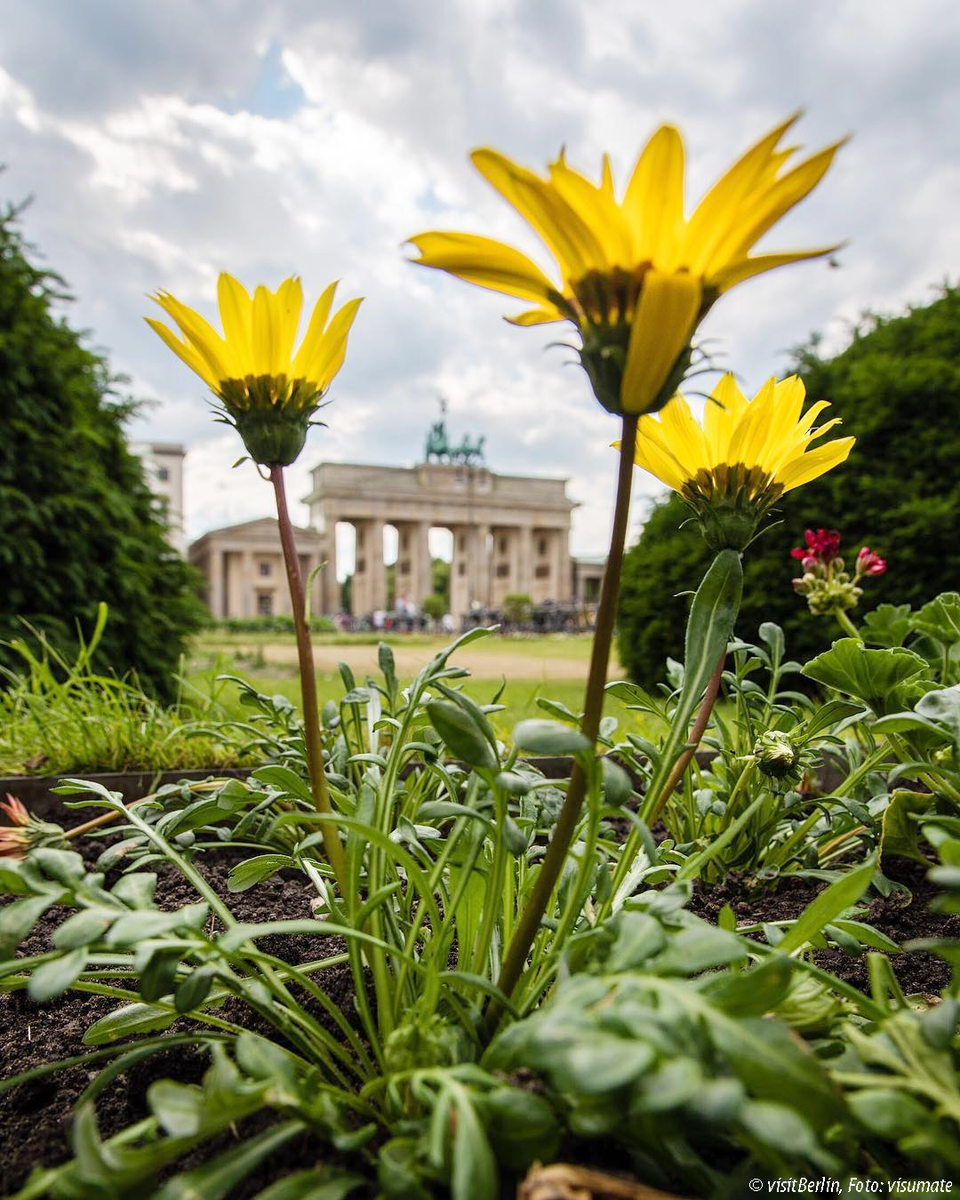 BerlinTourism's tweet photo. Enjoy your day! 🌻 #visit_berlin https://t.co/eSdTAZUc6o