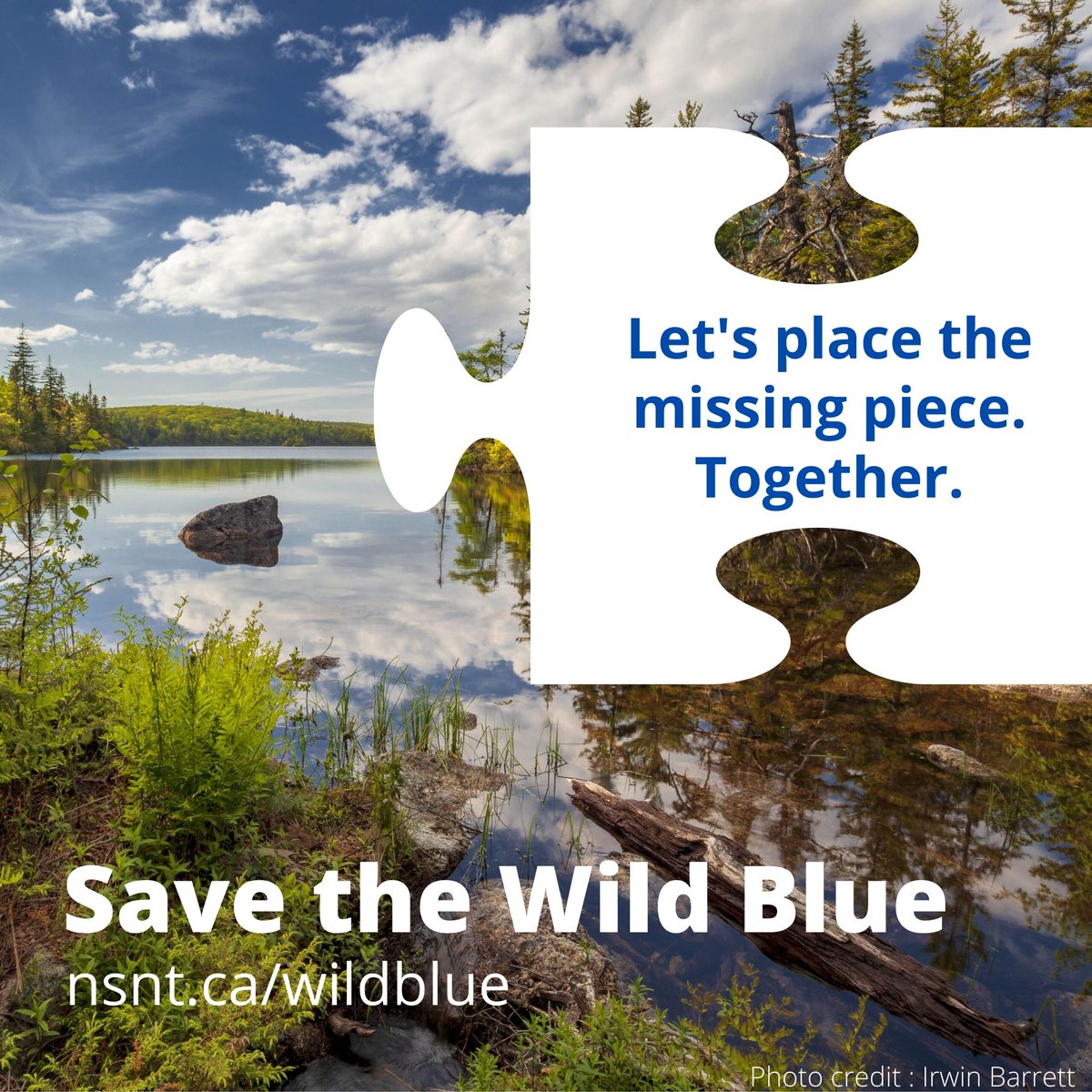 NSNatureTrust's tweet photo. Help #SavetheWildBlue by protecting the Blue Mountain Wilderness Connector. We can place the missing puzzle piece together! 🌲💙 https://t.co/5O37Q2gQr5 https://t.co/XBCraBfd89