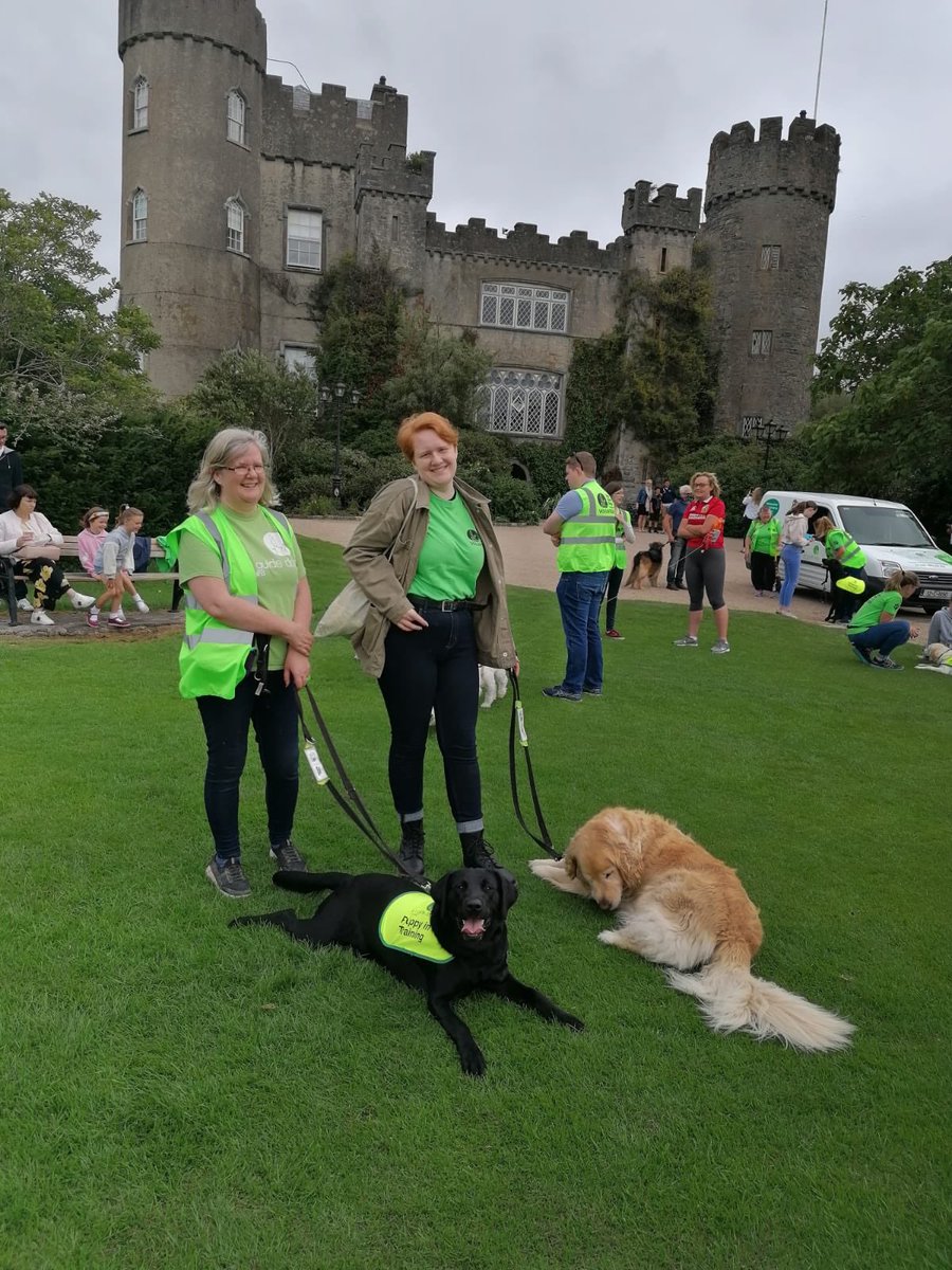 Irish Guide Dogs Portmarnock-Malahide tweet media