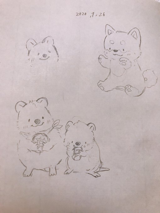 スケッチ 