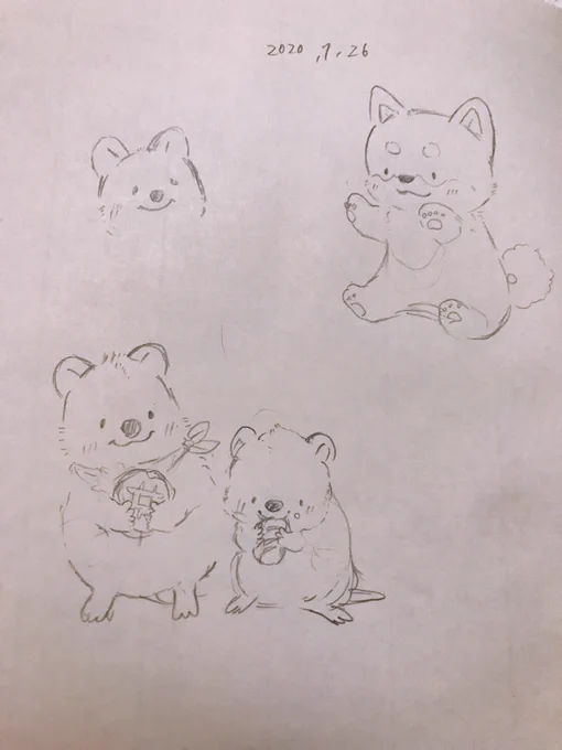 スケッチ 